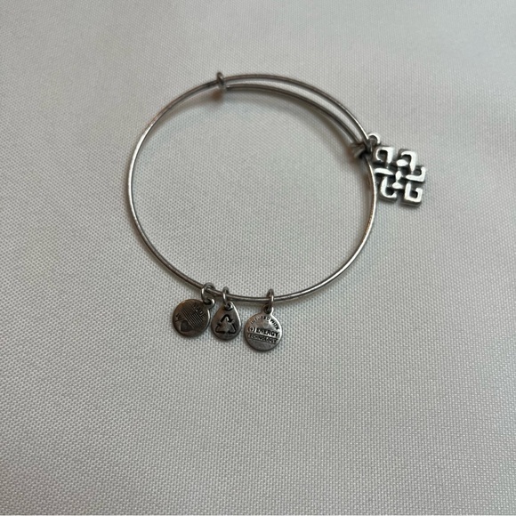 Alex And Ani Endless Knot Charm Antique Silver Finish Bangle Bracelet One Size - Picture 4 of 16